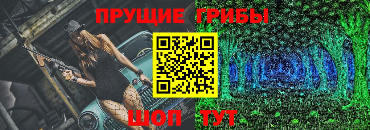 Псилоцибиновые грибы GOLDEN TEACHER  Вход с VPN  Псилоцибиновые грибы мухоморы  Клинцы 
