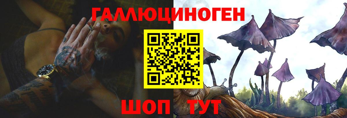 Псилоцибиновые грибы Psilocybe Клинцы